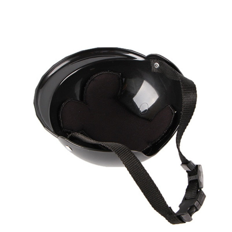 Protective Helmets For Dogs - Boston Terrier World