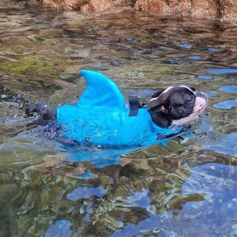 Shark Fin Shark Vest For Dog Outward Hound Life Jacket Shark Fin