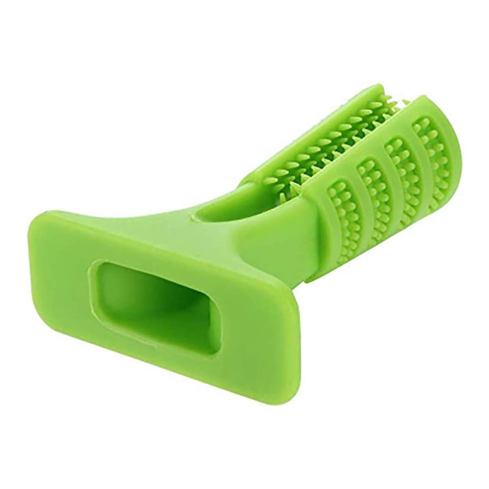 Toothbrush Stick Dog Toy