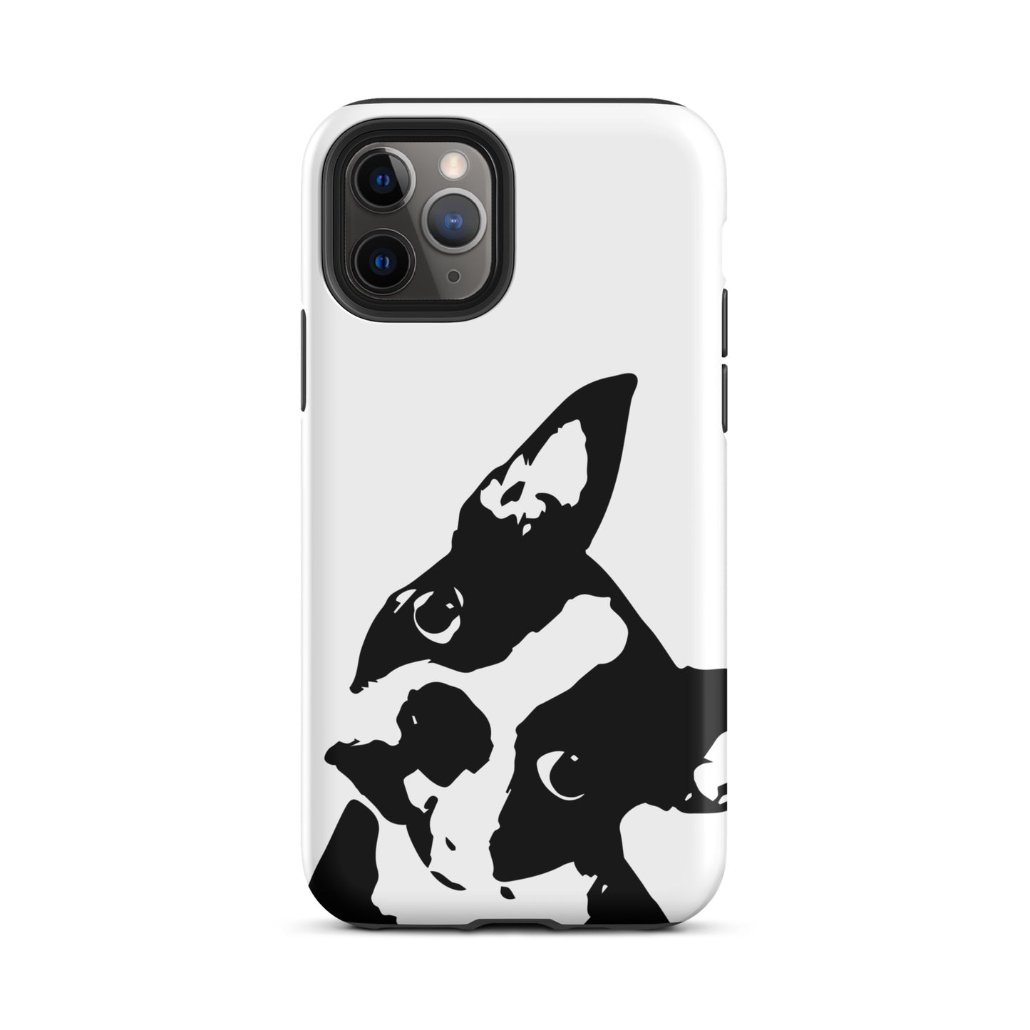 Boston Terrier Head Tilt Tough iPhone case - White