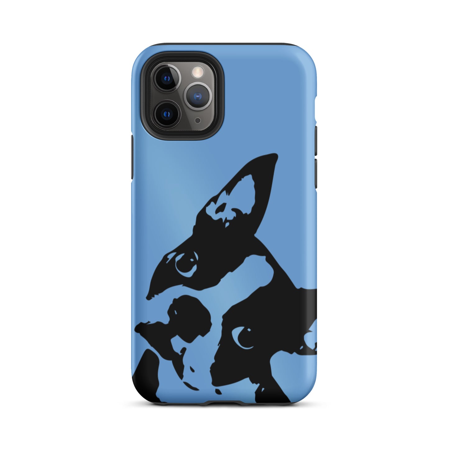 Boston Terrier Head Tilt Tough iPhone case - Jordy Blue