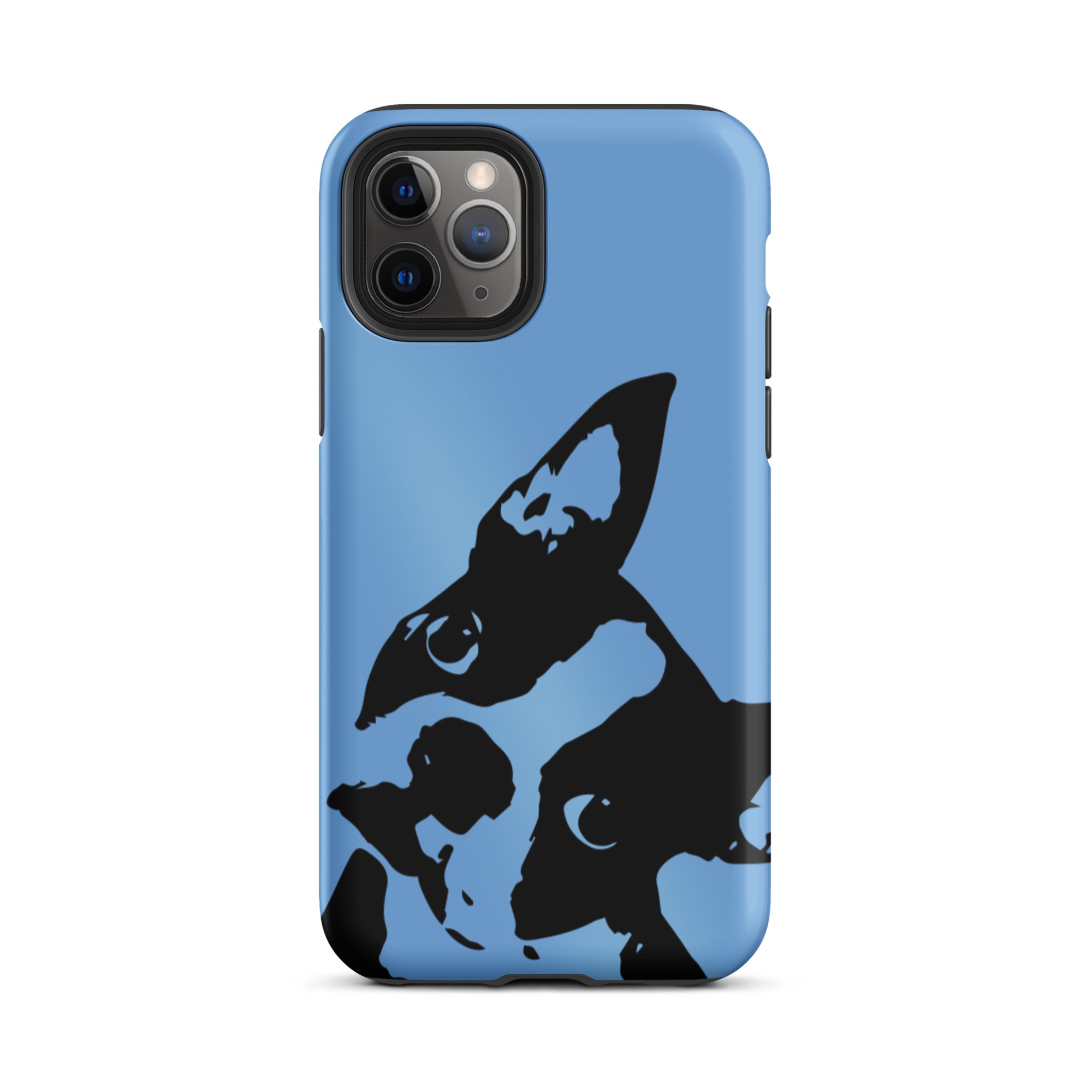 Boston Terrier Head Tilt Tough iPhone case - Jordy Blue