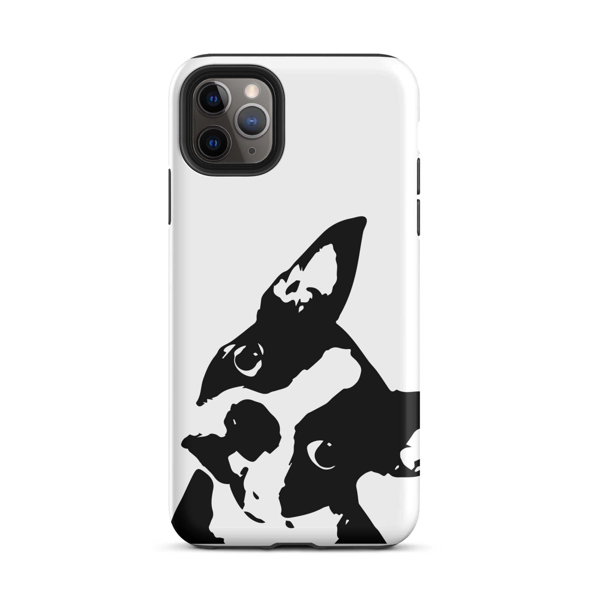 Boston Terrier Head Tilt Tough iPhone case - White