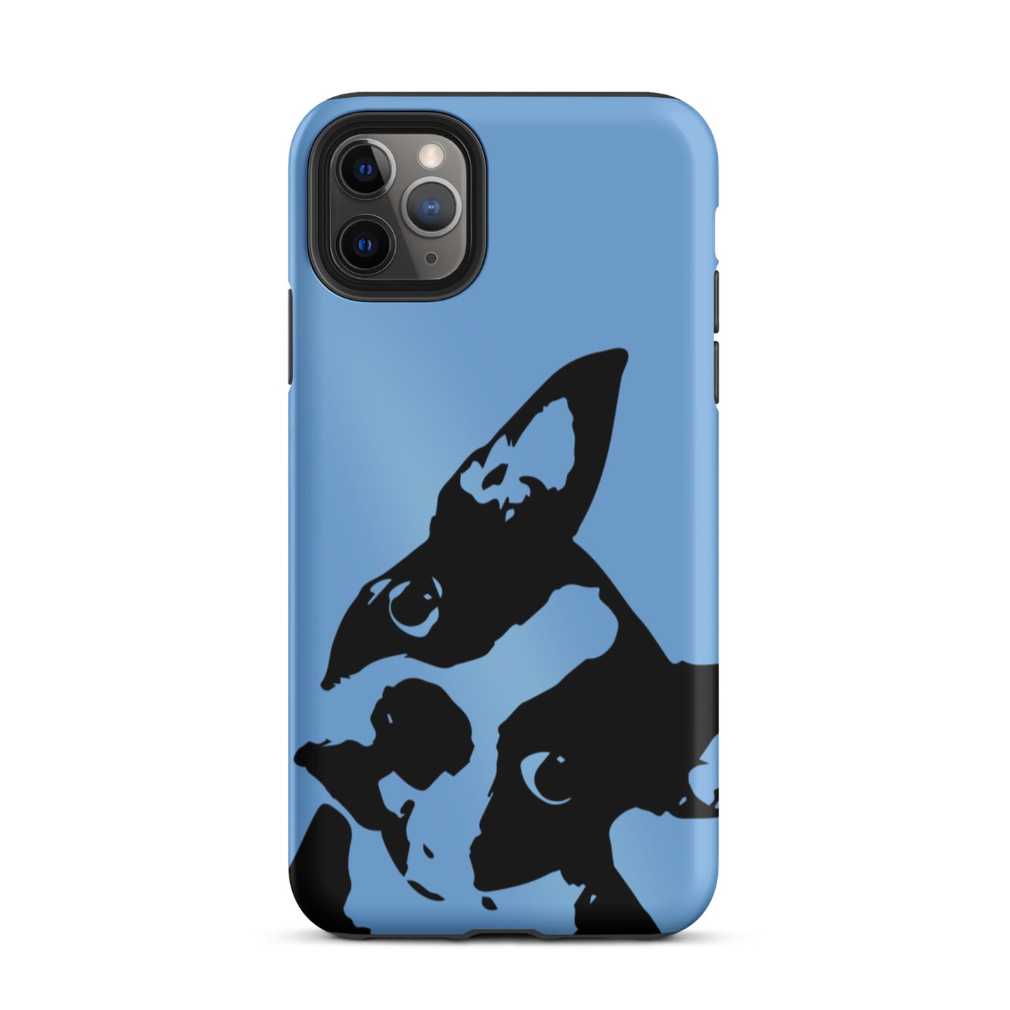 Boston Terrier Head Tilt Tough iPhone case - Jordy Blue