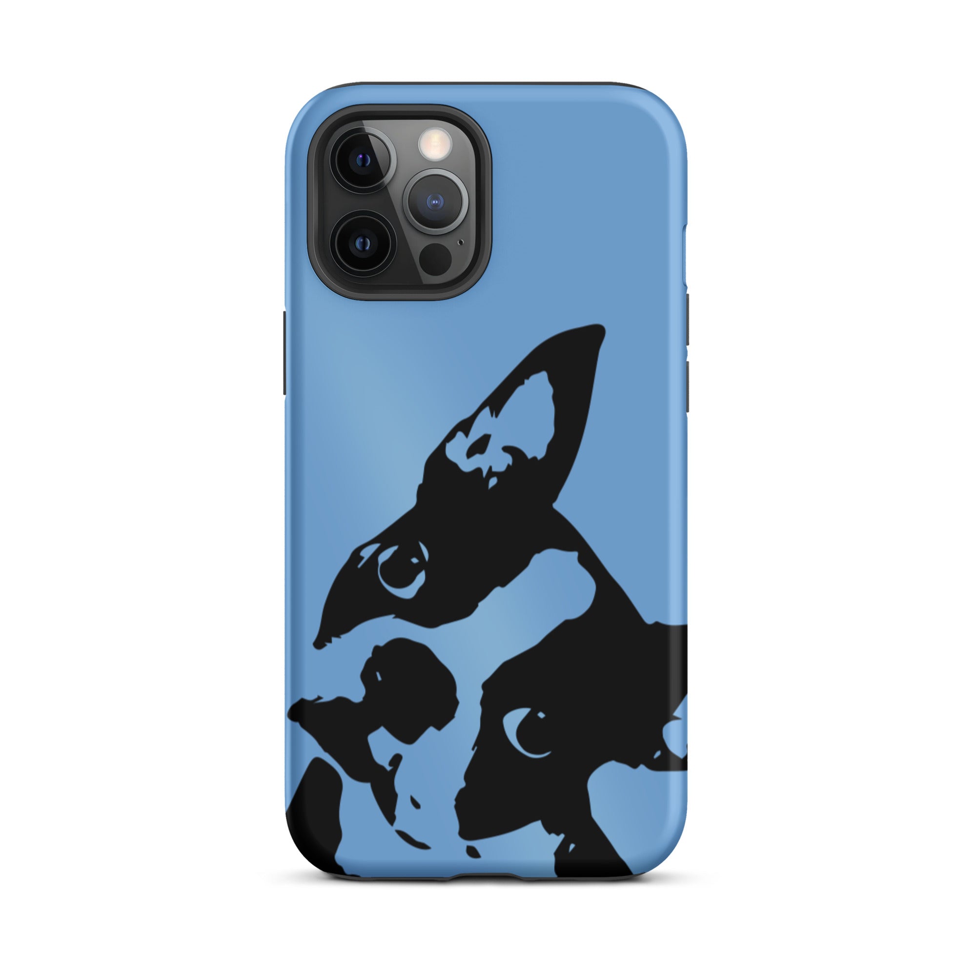 Boston Terrier Head Tilt Tough iPhone case - Jordy Blue