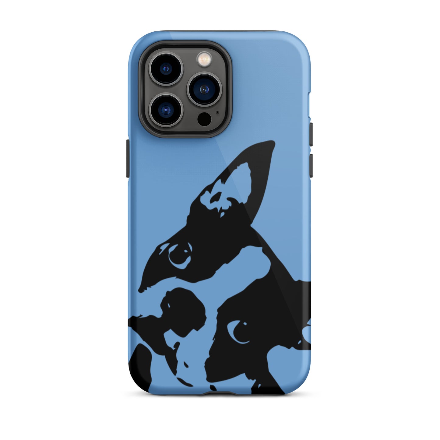 Boston Terrier Head Tilt Tough iPhone case - Jordy Blue
