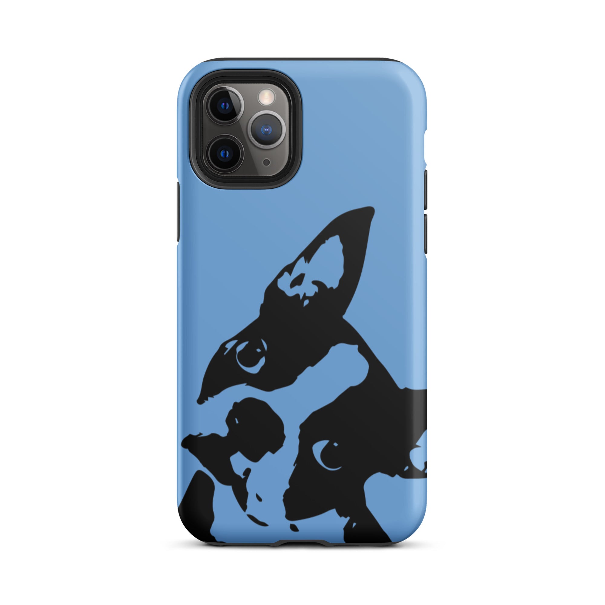 Boston Terrier Head Tilt Tough iPhone case - Jordy Blue