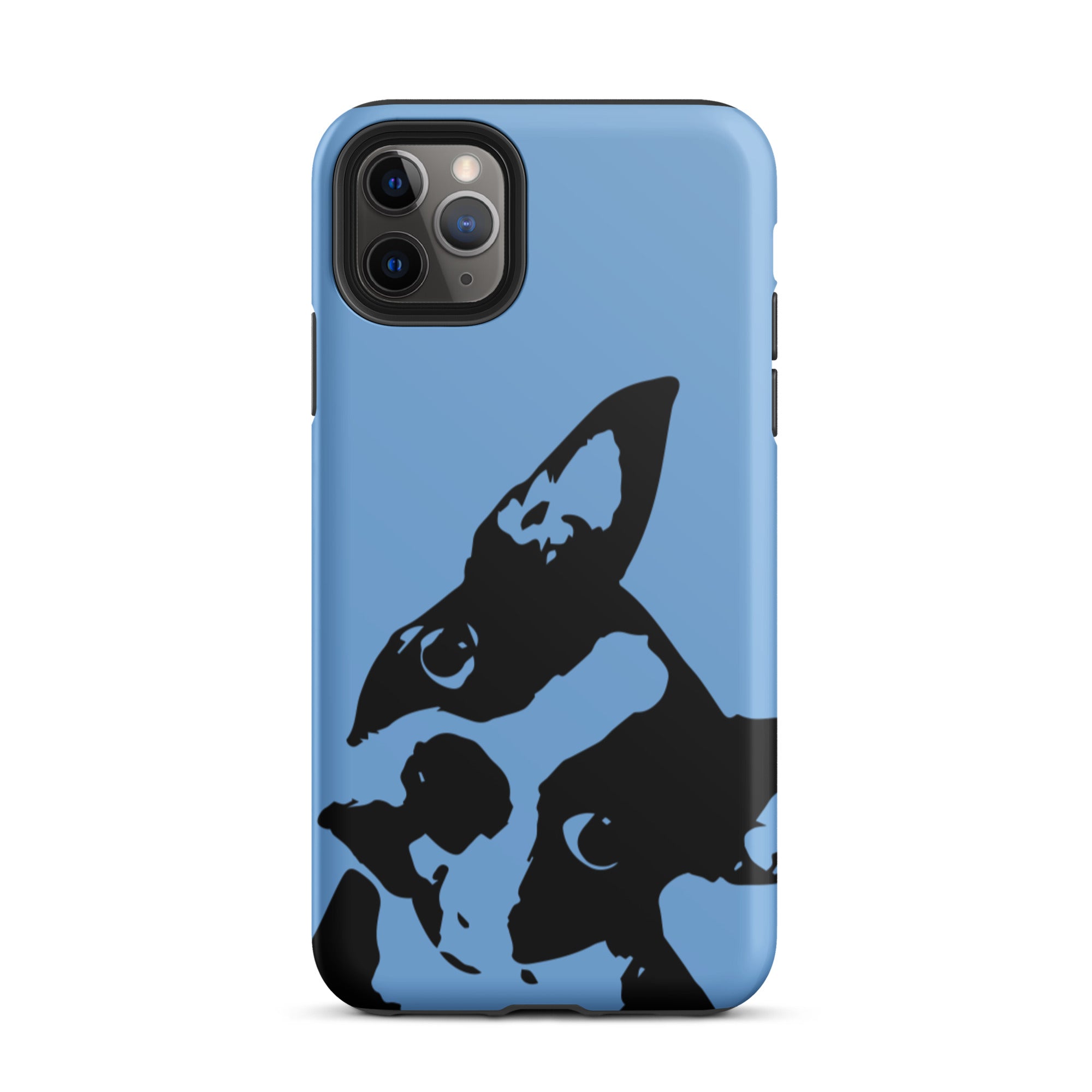 Boston Terrier Head Tilt Tough iPhone case - Jordy Blue