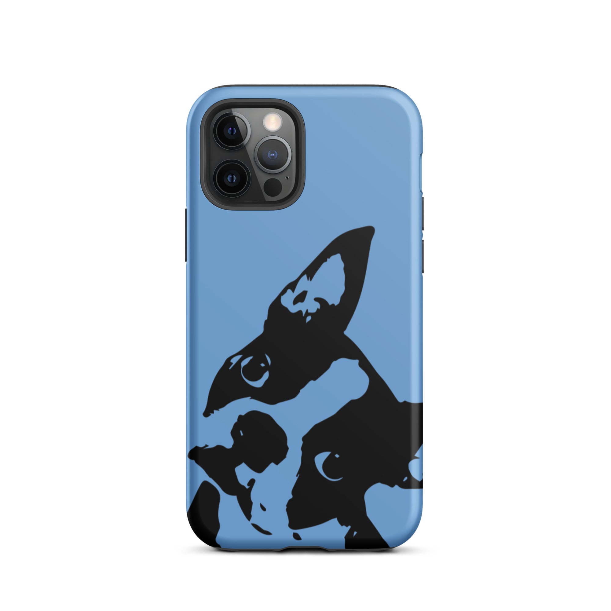 Boston Terrier Head Tilt Tough iPhone case - Jordy Blue