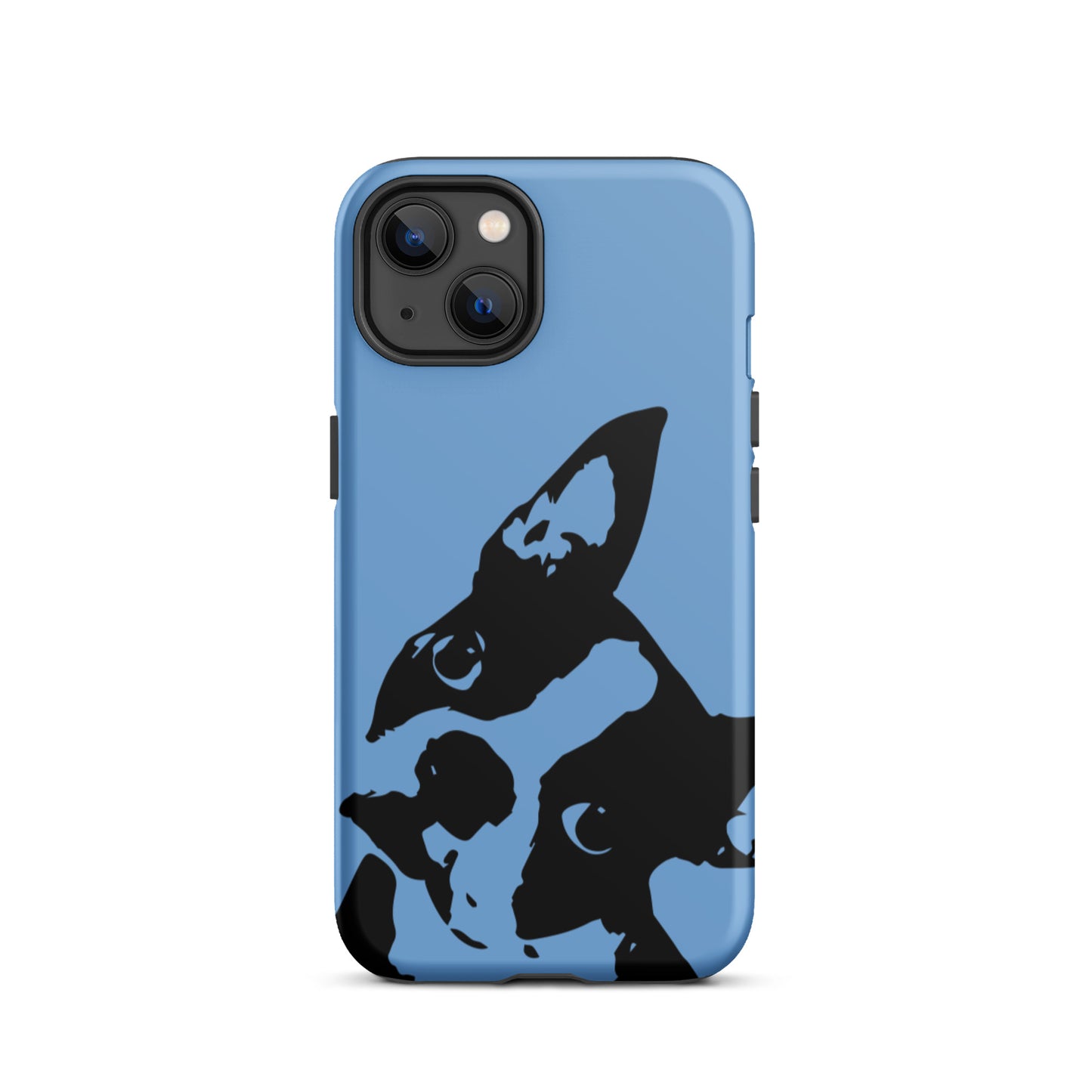 Boston Terrier Head Tilt Tough iPhone case - Jordy Blue