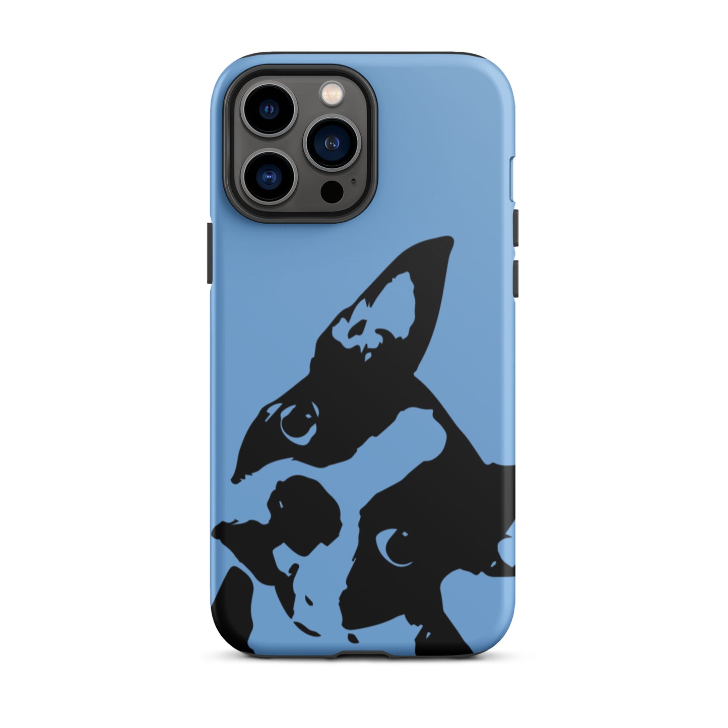 Boston Terrier Head Tilt Tough iPhone case - Jordy Blue
