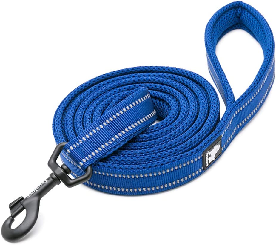 TrueLove Dog Leash 43 inches long