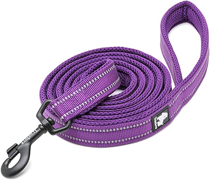 TrueLove Dog Leash 43 inches long