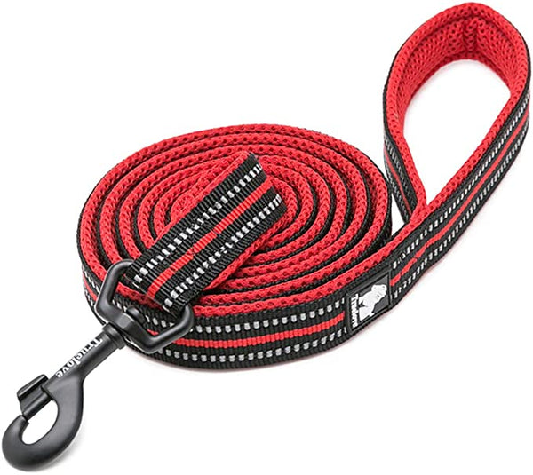TrueLove Dog Leash 43 inches long