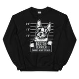 Boston Terrier - Heart Stealer Sweatshirt