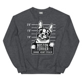 Boston Terrier - Heart Stealer Sweatshirt
