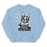 Boston Terrier - Heart Stealer Sweatshirt