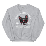 Sorry I'm Late, I Saw A Boston Terrier Sweatshirt