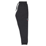 Boston Terrier Art Joggers