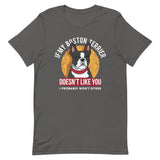 If My Boston Terrier Doesn't Like You I Probably Won't Either T-Shirt