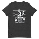 Boston Terrier - Heart Stealer T-Shirt