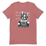 Boston Terrier - Heart Stealer T-Shirt
