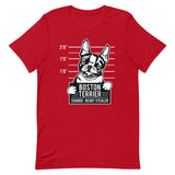 Boston Terrier - Heart Stealer T-Shirt