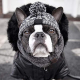 Boston Terrier wearing a Wool Beanie - Dog Winter Hat Toque
