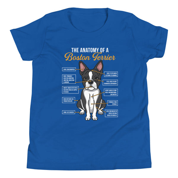 The Anatomy Of A Boston Terrier Youth T-Shirt